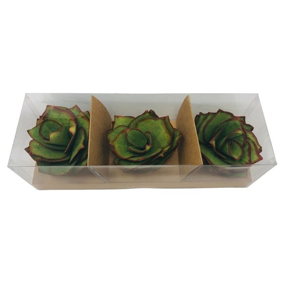 Hallmark Handcrafted Decorative Succulents Plants Set of 3 Home Decor - Picture 1 of 4